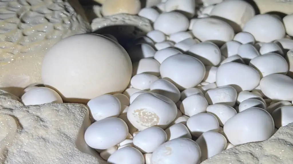 Hàng trăm ngọc động ở Phong Nha - Kẻ Bàng hình thành thế nào?