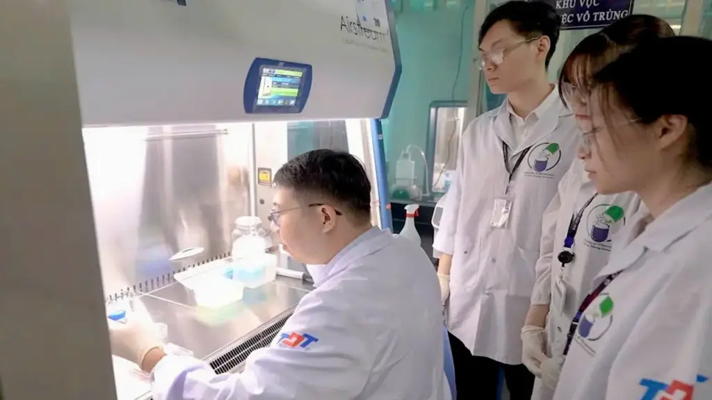 Phát hiện bất ngờ giúp nhà khoa học tạo vật liệu nano trị ung thư